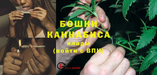шишки Вязьма