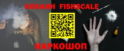 шишки Аргун