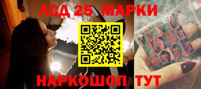 шишки Аргун