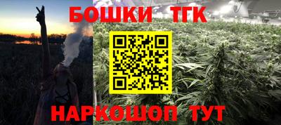 шишки Аргун