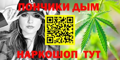 шишки Аргун