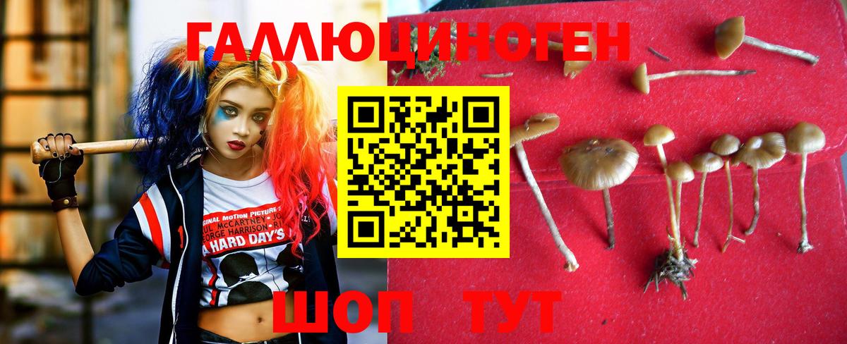 Нурлат  Галлюциногенные грибы мухоморы  Вход с VPN 